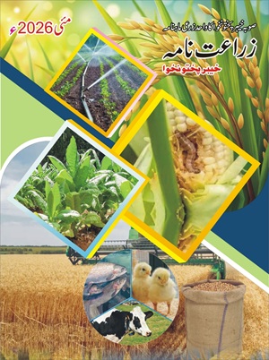 Zarat Nama May 2026